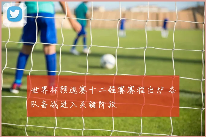 世界杯预选赛十二强赛赛程出炉 各队备战进入关键阶段