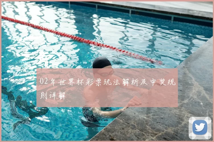 02年世界杯彩票玩法解析及中奖规则详解