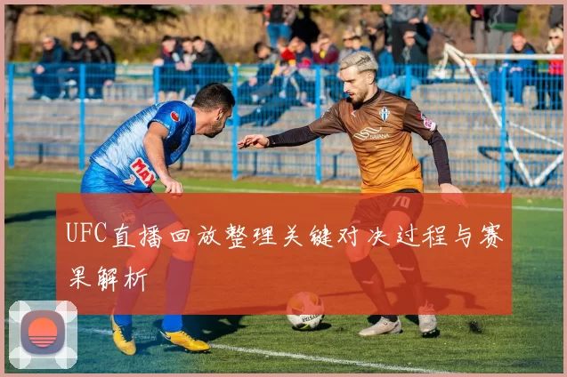 UFC直播回放整理关键对决过程与赛果解析