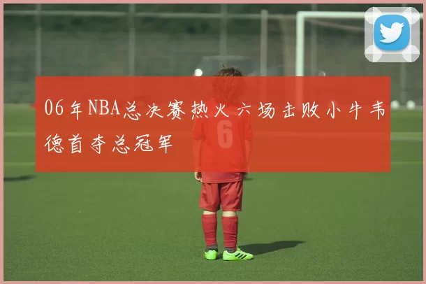 06年NBA总决赛热火六场击败小牛韦德首夺总冠军