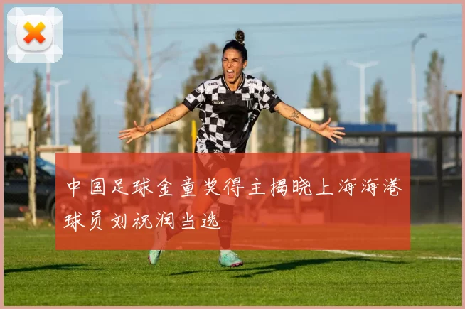 中国足球金童奖得主揭晓上海海港球员刘祝润当选