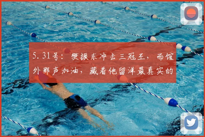 5.31号：樊振东冲击三冠王，而馆外那声加油，藏着他留洋最真实的答案_萨尔布吕肯_德国_半决赛