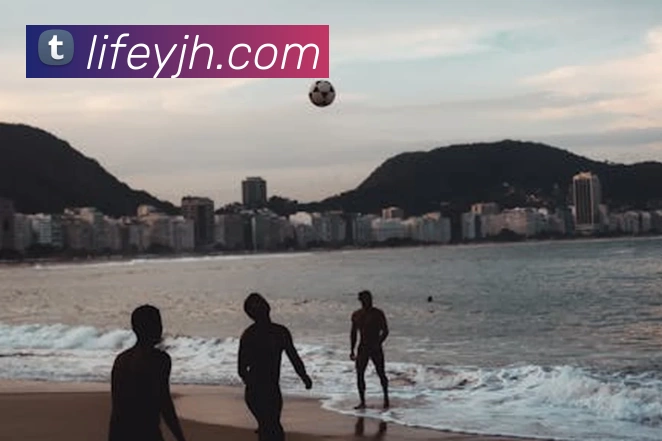 世界杯直播入口官网发展历程